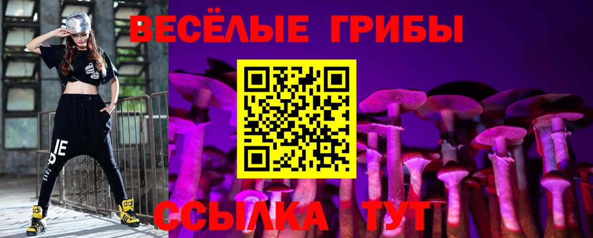Псилоцибиновые грибы ЛСД Жигулёвск