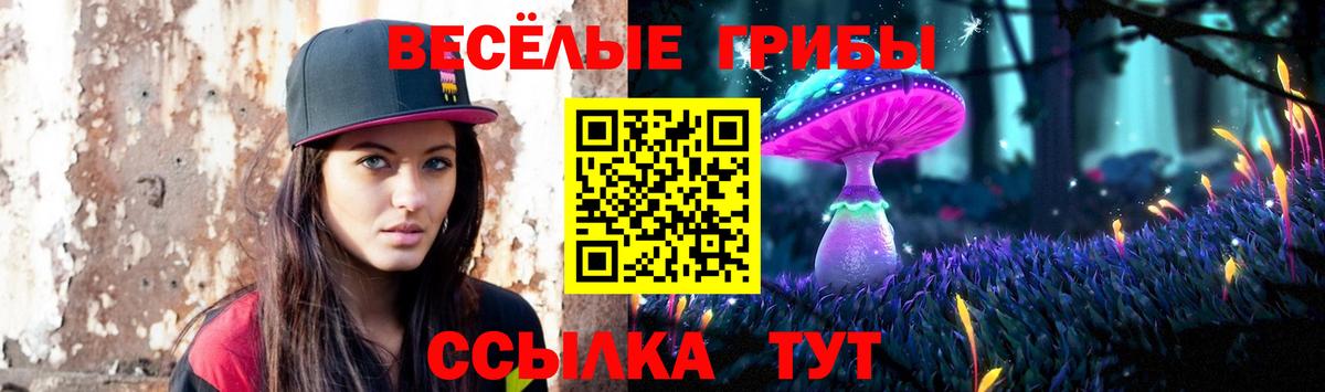 Жигулёвск  Галлюциногенные грибы мицелий  Вход с VPN  Псилоцибиновые грибы GOLDEN TEACHER 